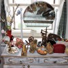 resized_img_0063