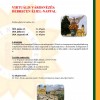 nyari-online-kurzusleirasok_magyar2020-page-005