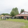 dsc03484-copy
