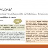 felvi2021_008