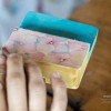 dsc01500